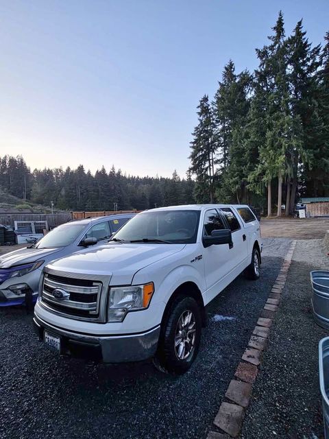 2013 Ford F-150 XLT SuperCrew 4x4