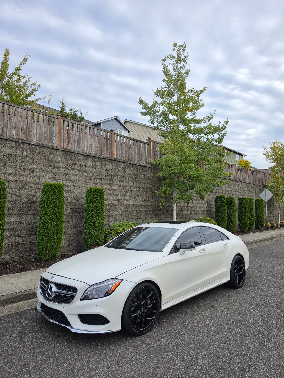 2016 Mercedes-Benz CLS-Class CLS550-4M